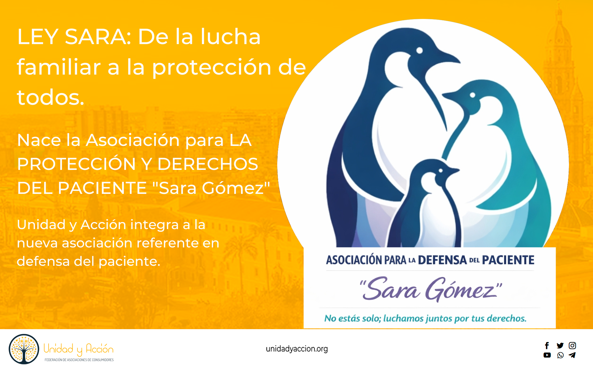 Nace la Asociación Sara Gomez